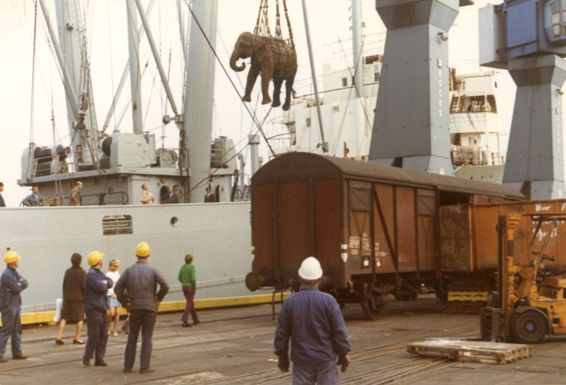 Transport slona Colombo, foto (c) Š.Šír 1971